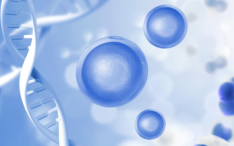 胚胎干细胞抗衰老治疗是真的吗