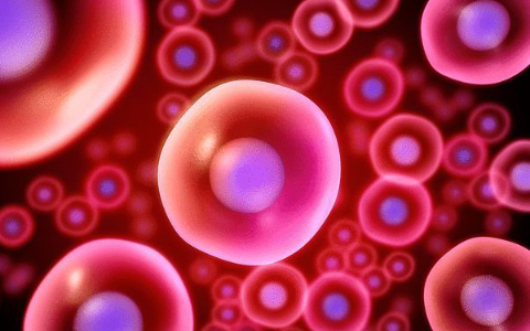 胚胎干细胞抗衰老治疗是真的吗